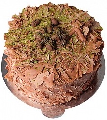 4 ile 6 kişilik Kütahya Doğum günü yaş pastası Drajeli Yaş pasta